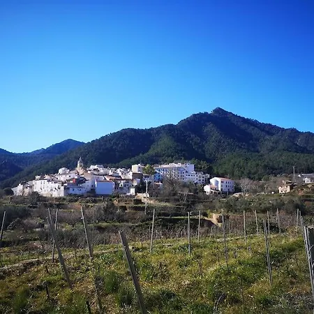 Ana Maria Ain Chalet